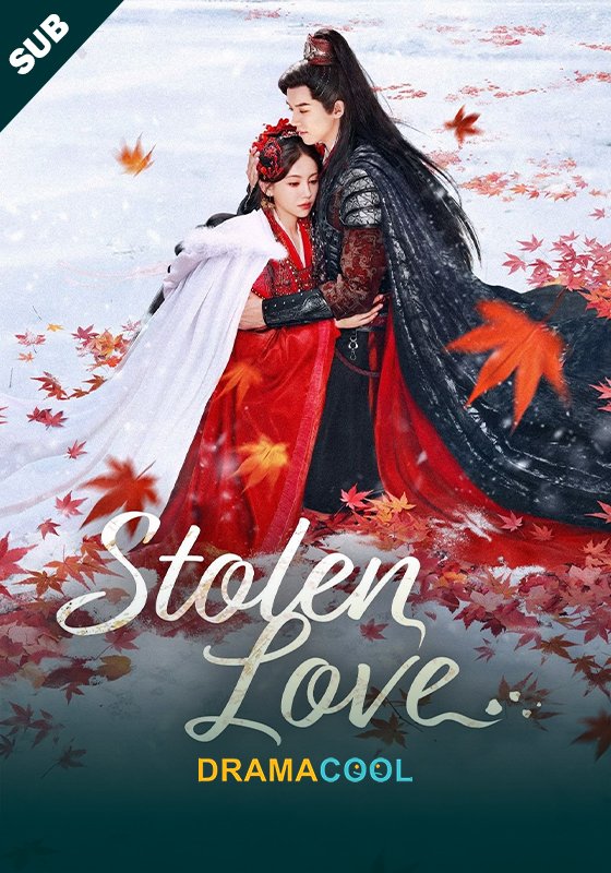 Stolen Love