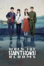 [END 18] When the Hawthorn Blooms (2025) English Subtitle Full Movie Free Watch And Download Eng Sub
