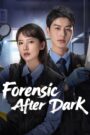 [EP 16] Forensic After Dark (2025) English Subtitle Full Movie Free Watch And Download Eng Sub