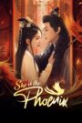 [EP 16] She Is the Phoenix (2025) English Subtitle Full Movie Free Watch And Download Eng Sub