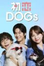 Love is for the Dogs (2025) English Subtitle Full Movie Free Watch And Download Eng Sub